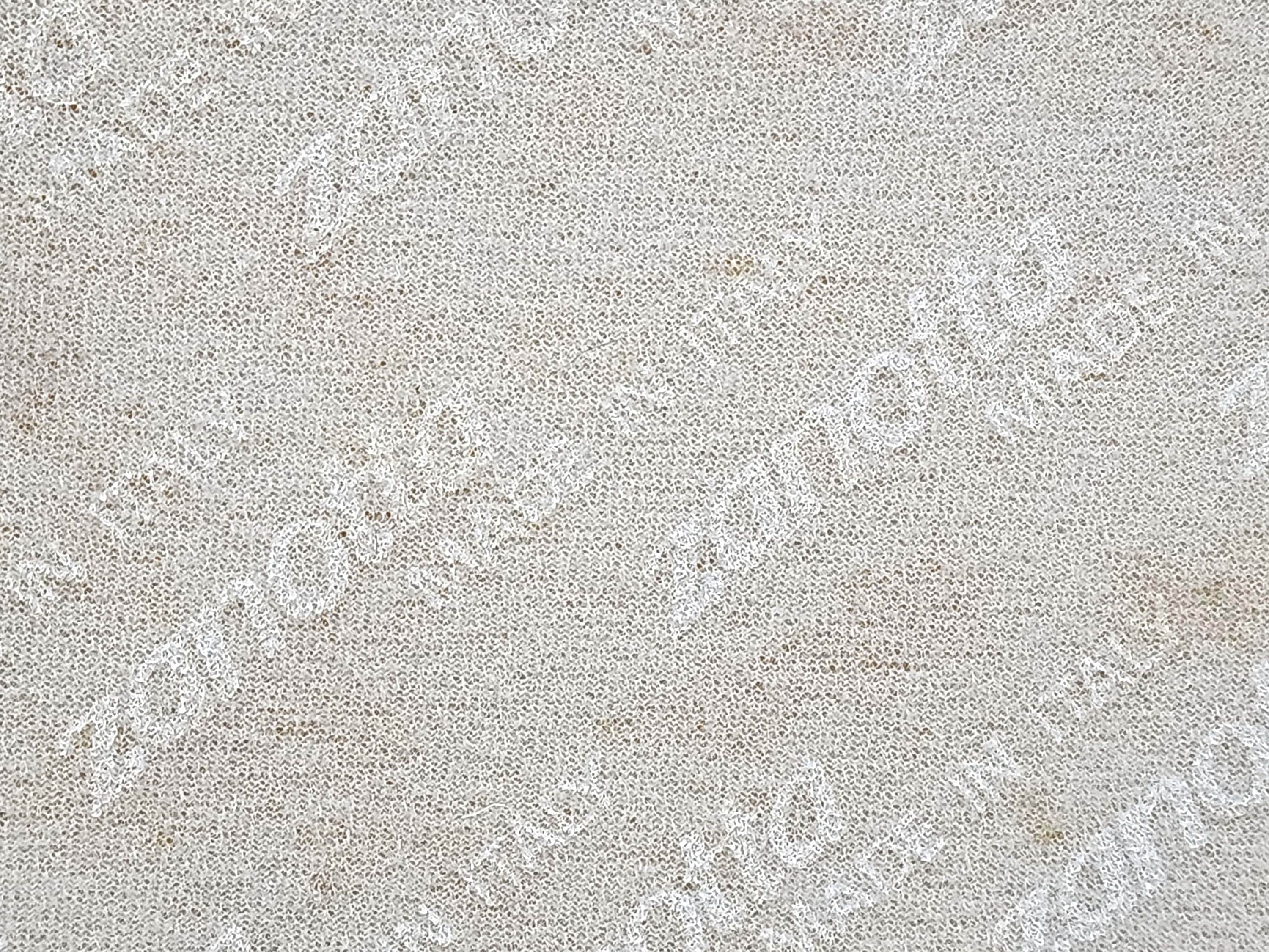 Karelia Lounge Chair in Brown Leather by Liisi Beckmann for Zanotta | Italian Space Age | 1960s